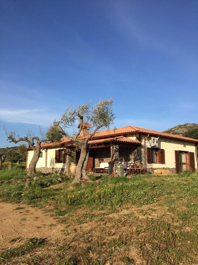 Agriturismo Gennemara B&B Perdaxius Ngoại thất bức ảnh
