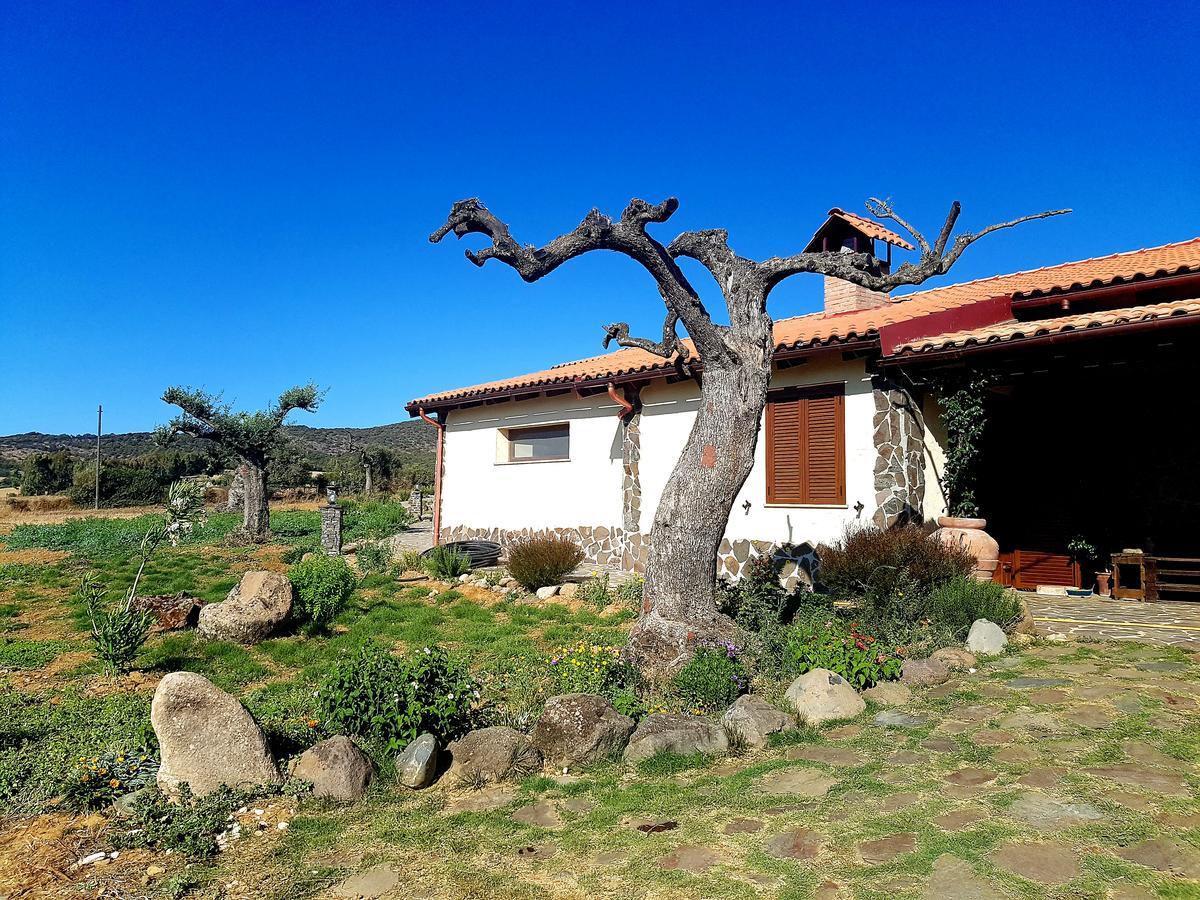 Agriturismo Gennemara B&B Perdaxius Ngoại thất bức ảnh